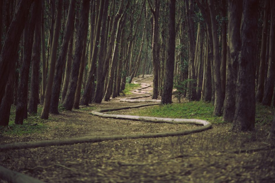 Photo by James Forbes on Unsplash https://unsplash.com/@vespir?utm_source=unsplash&utm_medium=