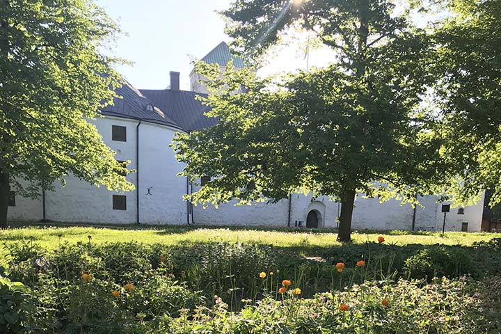 Turun linna puiden takana